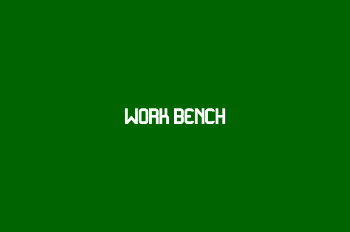 Software Solutions Provider Work Bench