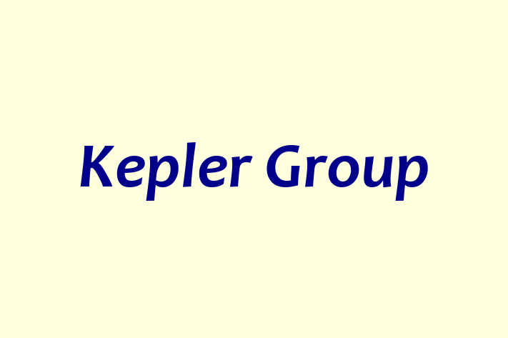 Software Services Company Kepler Group