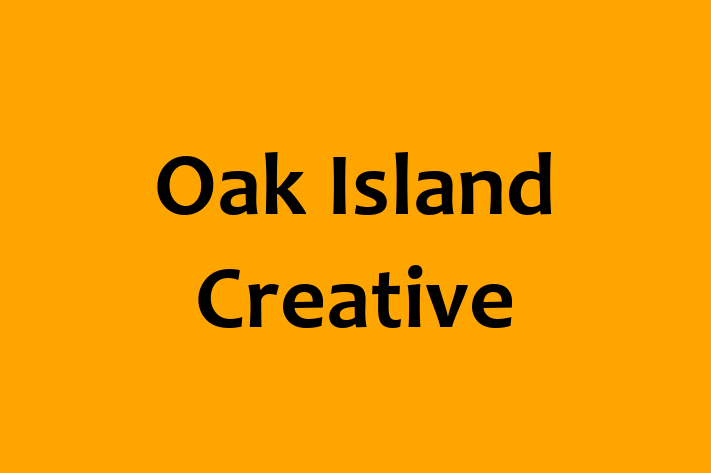 Software Development Firm Oak Island Creative