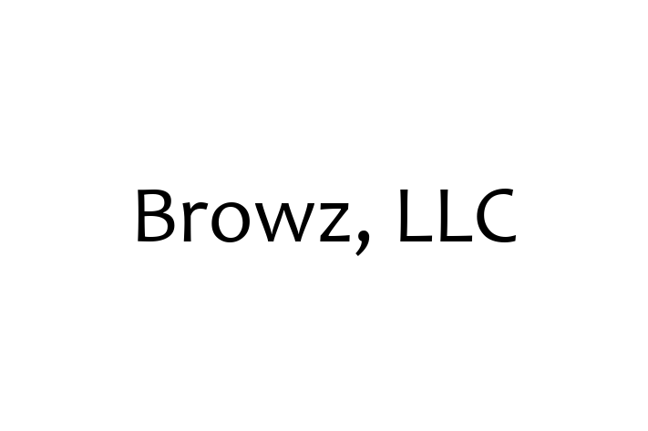 Tech Solutions Company Browz LLC