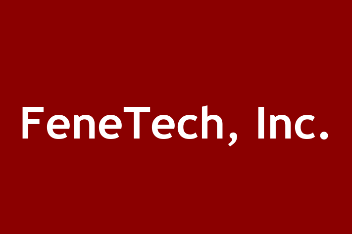 Tech Solutions Company FeneTech Inc.