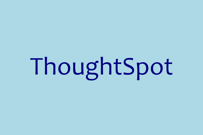 Application Development Company ThoughtSpot