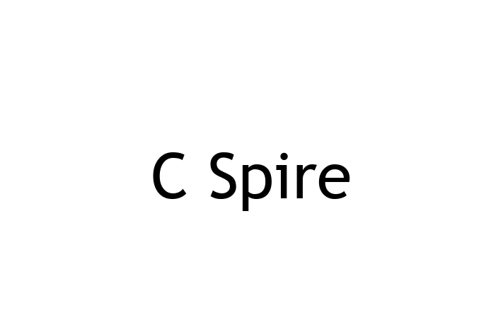 IT Company C Spire