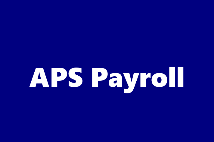 IT Company APS Payroll