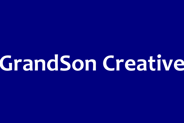 Software Consultancy GrandSon Creative