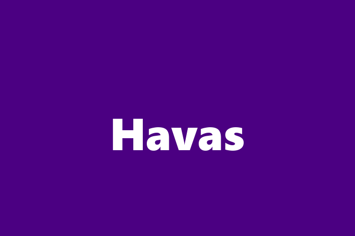 Human Resource Management Havas