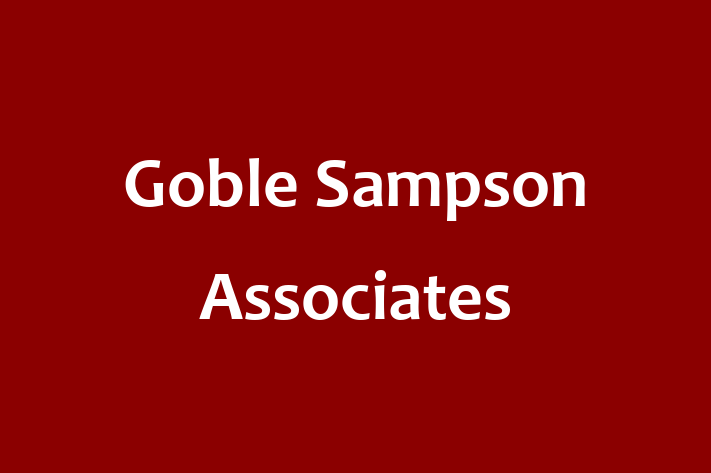 Application Development Company Goble Sampson Associates