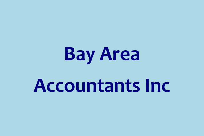 Professional Accountant Bay Area Accountants Inc