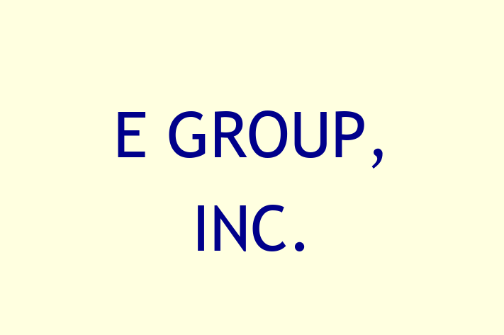 Tech Firm E GROUP INC.