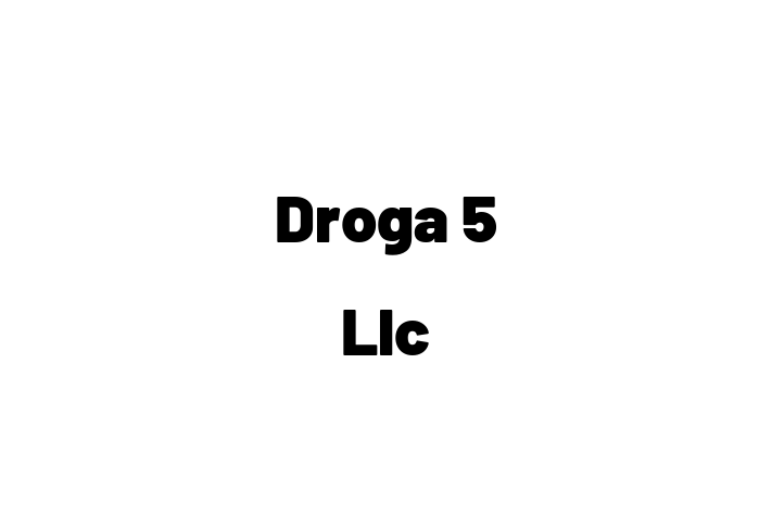 Technology Solutions Firm Droga 5 Llc