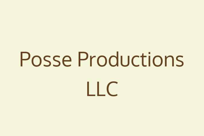 Tech Firm Posse Productions LLC