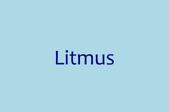 Tech Firm Litmus