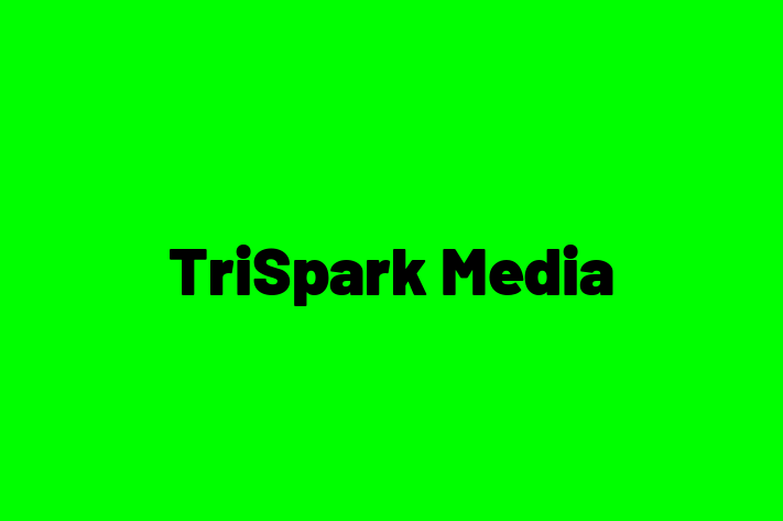 Software Solutions Provider TriSpark Media