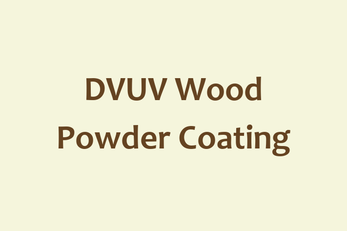 Human Capital Management DVUV Wood Powder Coating