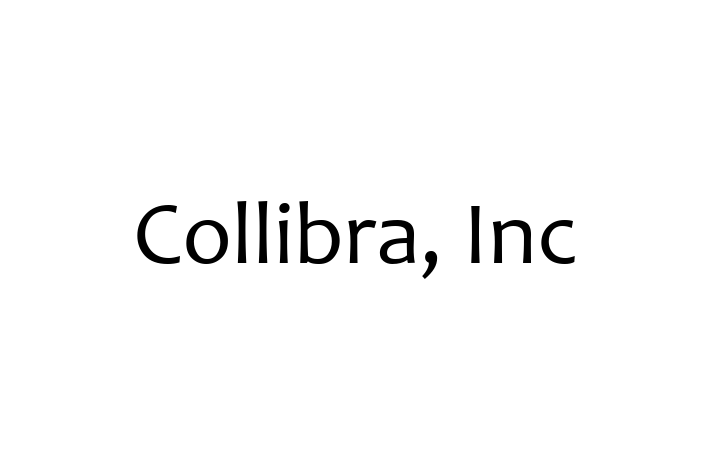 Technology Company Collibra Inc