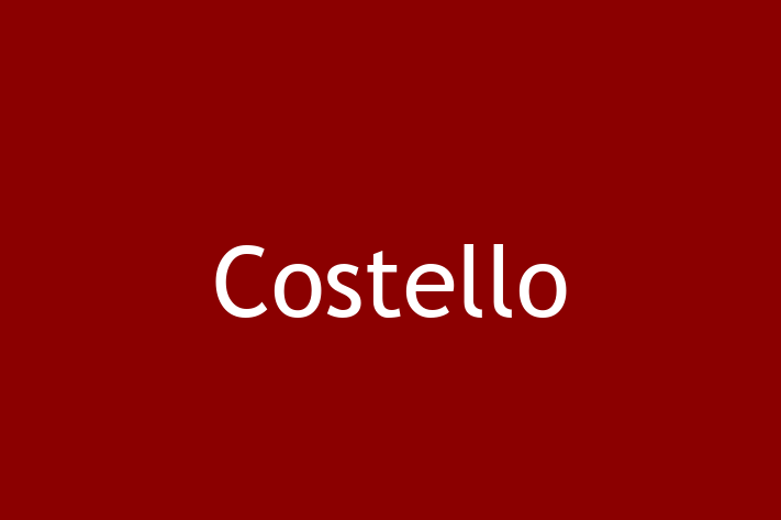 Technology Solutions Firm Costello