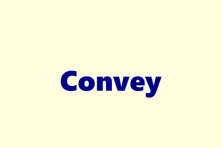 Software Development Firm Convey