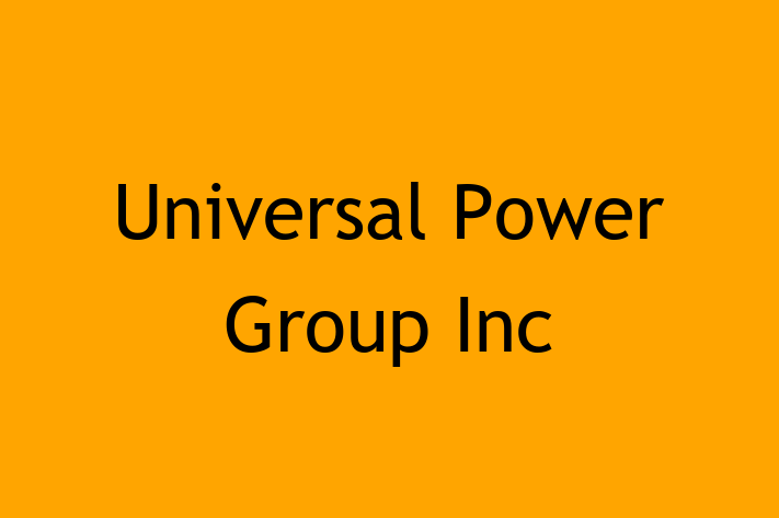 Software Consultancy Universal Power Group Inc