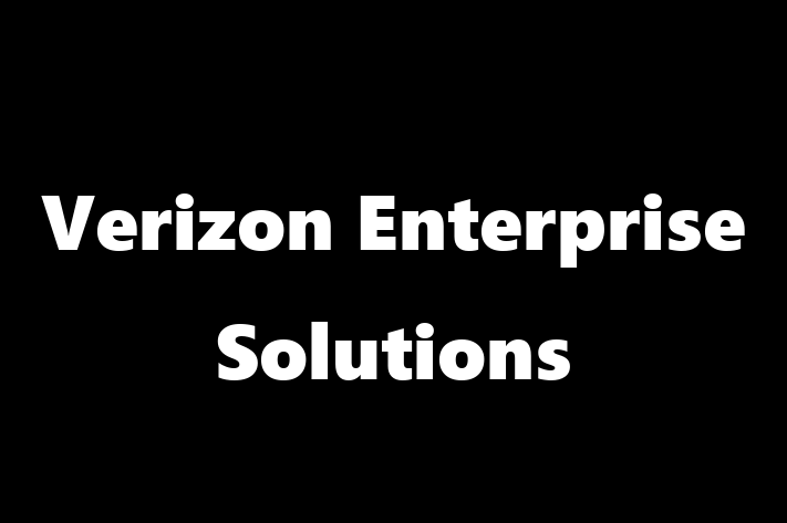 Digital Solutions Provider Verizon Enterprise Solutions