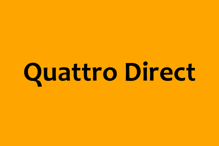 Technology Company Quattro Direct