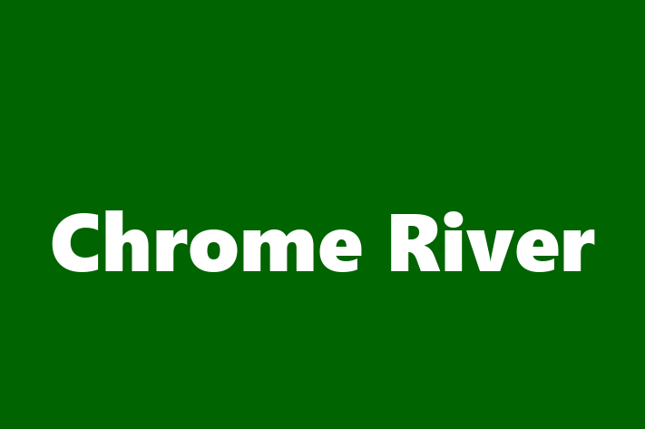 Software Engineering Company Chrome River