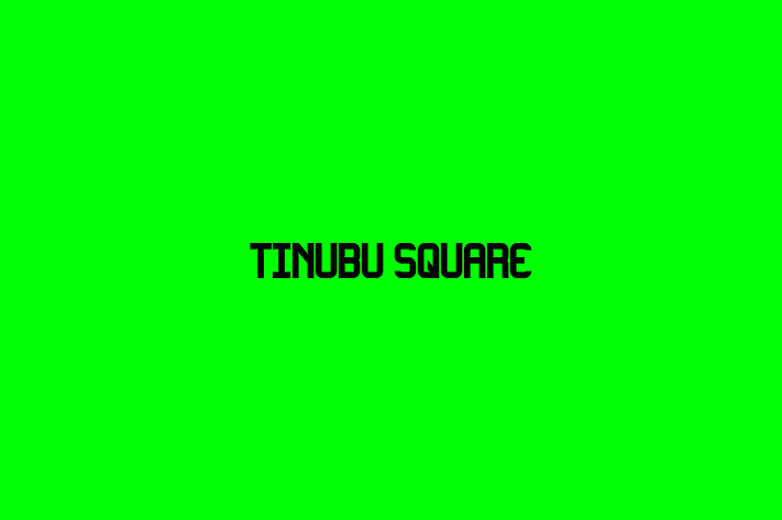 Digital Solutions Provider Tinubu Square