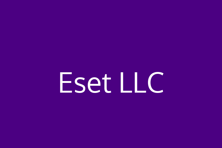 Software Development Company Eset LLC