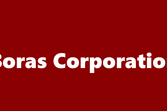 Labor Relations Boras Corporation