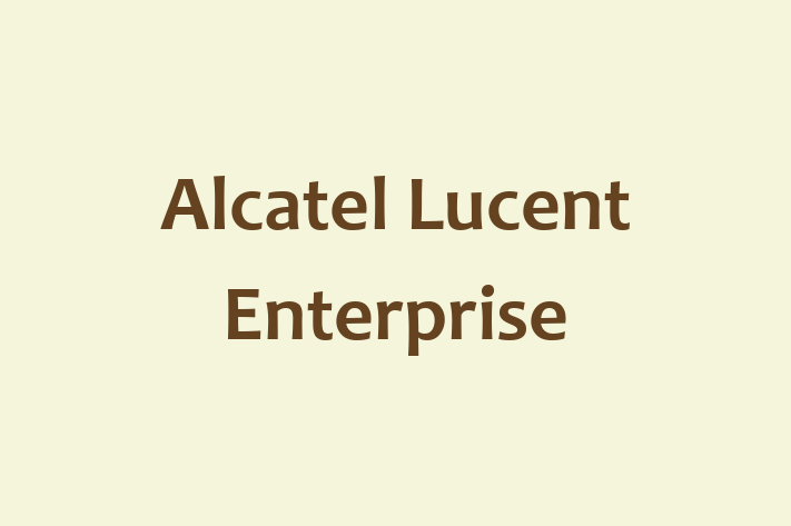 Software Development Firm Alcatel Lucent Enterprise