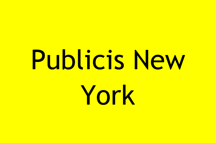 Software Solutions Provider Publicis New York