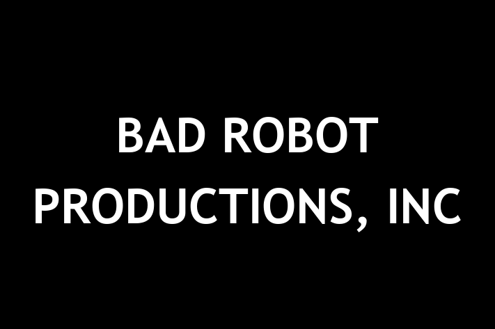 Employee Relations BAD ROBOT PRODUCTIONS INC