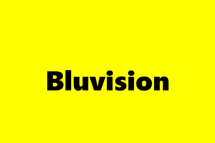 Technology Solutions Firm Bluvision