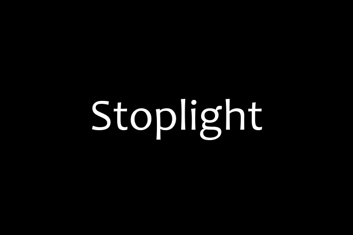 Technology Solutions Firm Stoplight