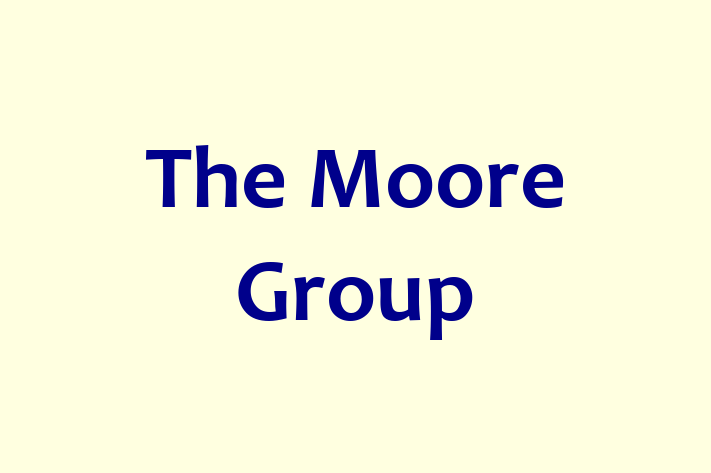 Human Resource Management The Moore Group