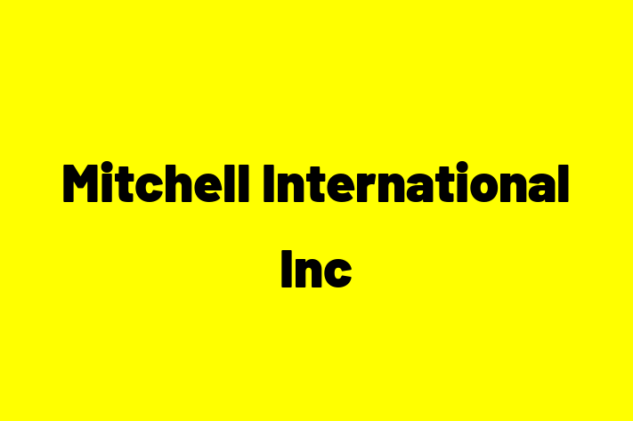 Tech Solutions Company Mitchell International Inc