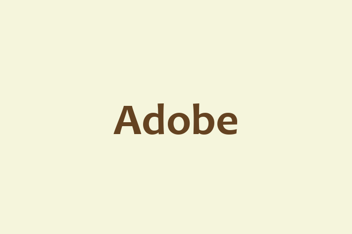 Technology Solutions Firm Adobe