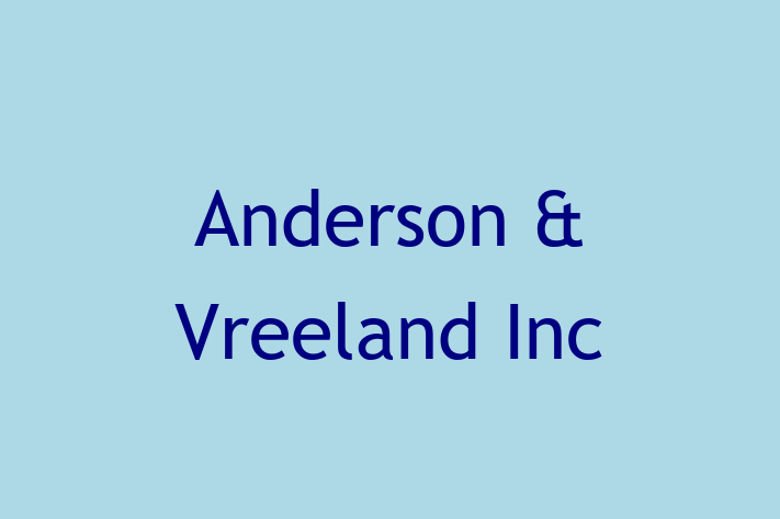 IT Company Anderson  Vreeland Inc