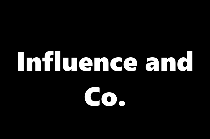 Software Services Company Influence and Co.