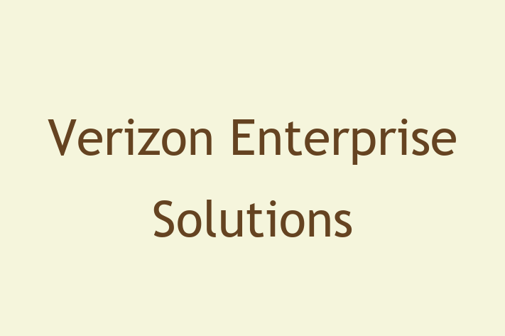 Software Firm Verizon Enterprise Solutions