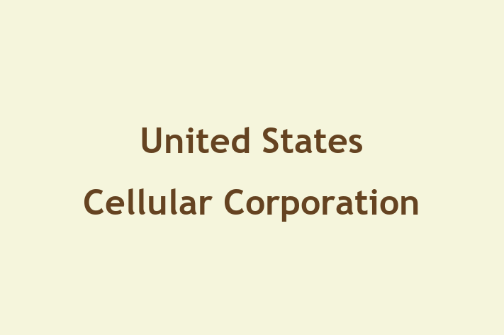 Digital Solutions Provider United States Cellular Corporation