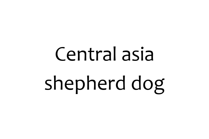 Dog Central asia shepherd dog for Sale in Mesquite