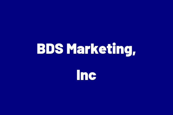 IT Company BDS Marketing Inc