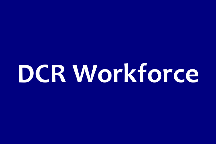 Digital Solutions Provider DCR Workforce