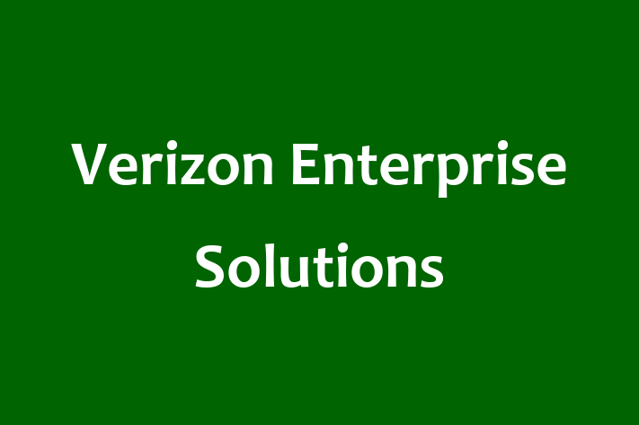 Software Development Firm Verizon Enterprise Solutions