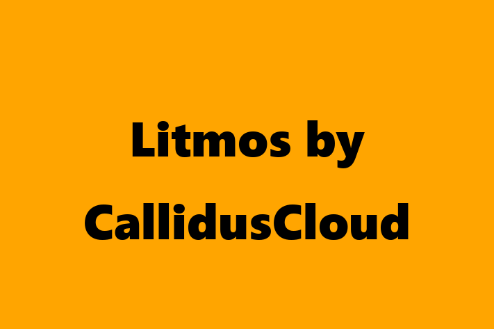 Software Consultancy Litmos by CallidusCloud