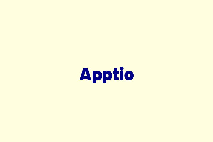 Software Consultancy Apptio