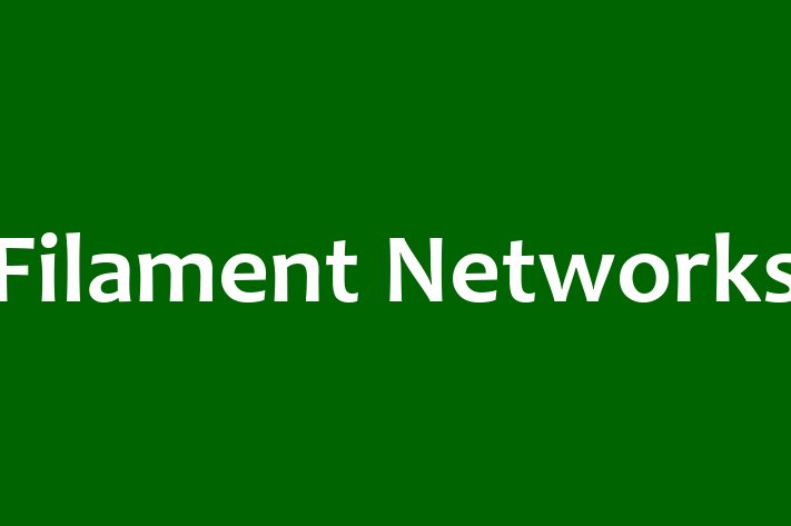 Software Engineering Company Filament Networks