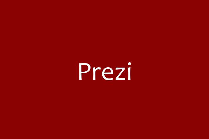 Digital Solutions Provider Prezi