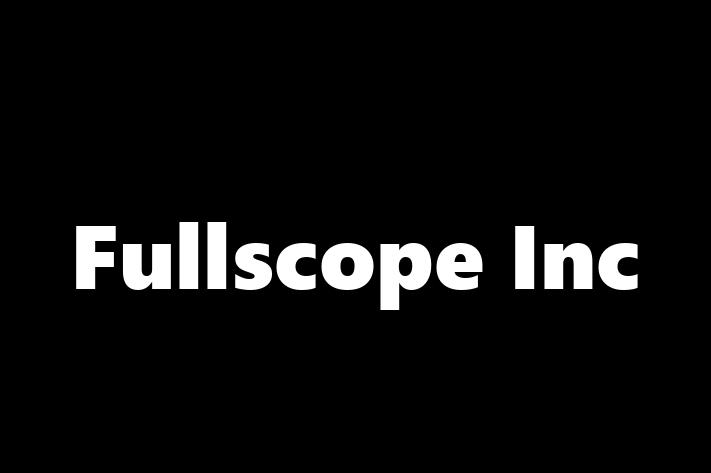 Application Development Company Fullscope Inc