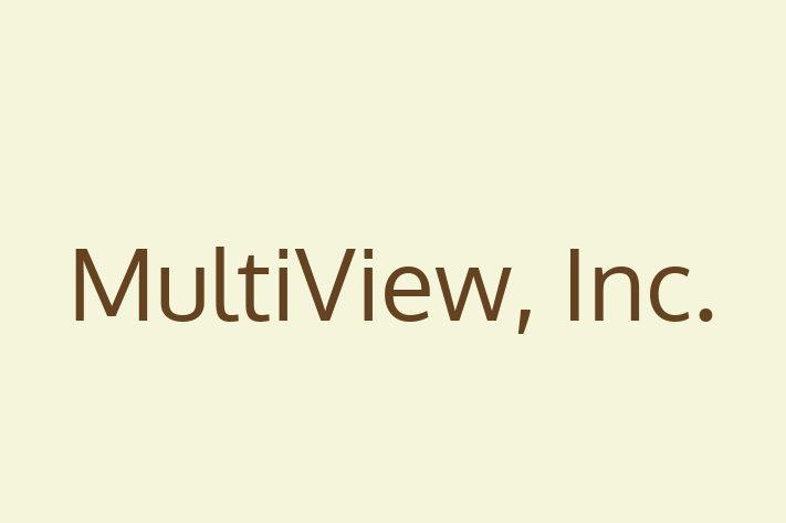 Tech Solutions Company MultiView Inc.